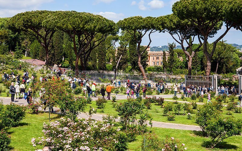Rose Garden in Rome